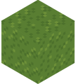 Full variant of the grass block.