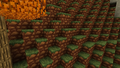 Early texture of the grass block.